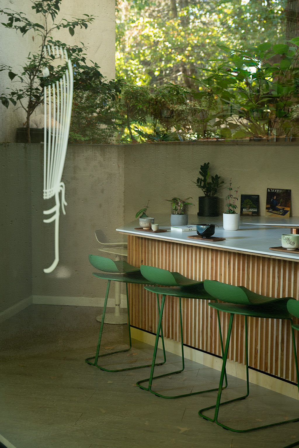 NISHIO MATCHA Tasting Workshop (straight-up matcha)