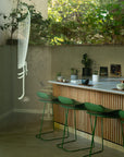 NISHIO MATCHA Tasting Workshop (straight-up matcha)