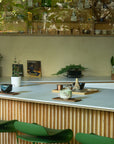 NISHIO MATCHA Tasting Workshop (straight-up matcha)