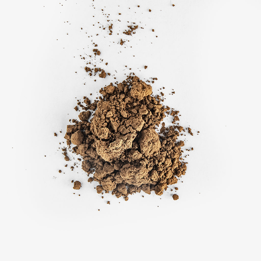 H | Organic Hojicha Powder - 100g – Whisk Premium Matcha