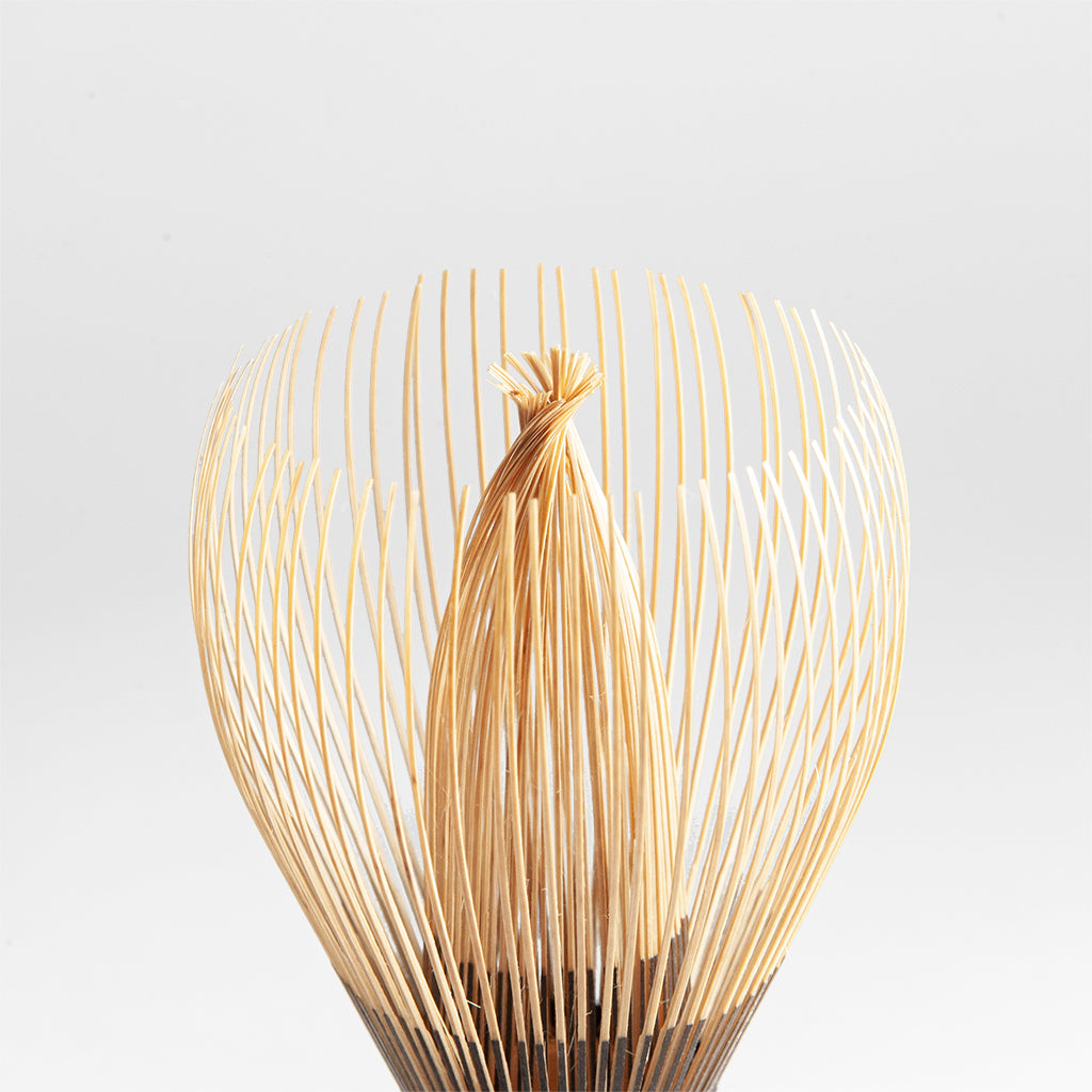 Shin Kazuho Chasen